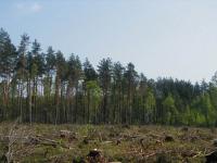 ������ �� ��� ��.