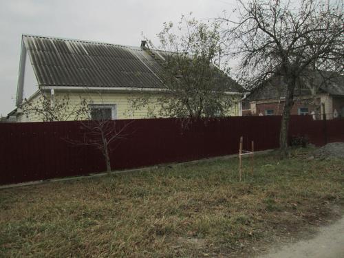 N36