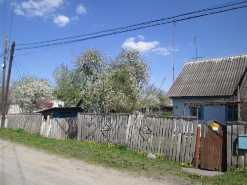 N131. 3 ������ 2015�.