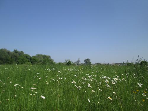 ������� �� ���