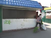 ��� - ����, ��� - ������. 31 ������ 2015�., ������� �� ����������.