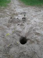 ������������ �� ����� �� ������