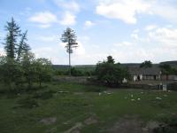 ���� ���� ������