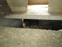 � ��� ���� ���