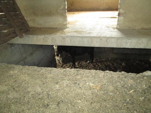 � ��� ���� ���