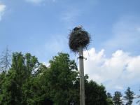 ��� ���� ������