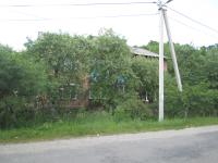 N31