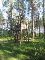 6 ������ 2015�. ����� ������ �� ���� �� ����� ����� - ��� ������ �������� ���. �� �����.