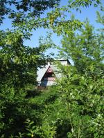 ���� �� �������