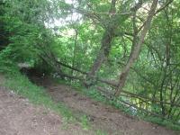 �� �������� ����� � 20 �����, ����� - ���.