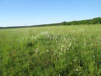 ��� �� ����� �����