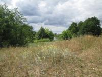 12 ����� 2015�.