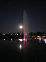 31 ������ 2015�.