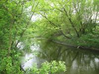 1 ������