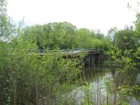 ̳�� ��� �������