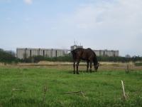 ���� ���������� ������