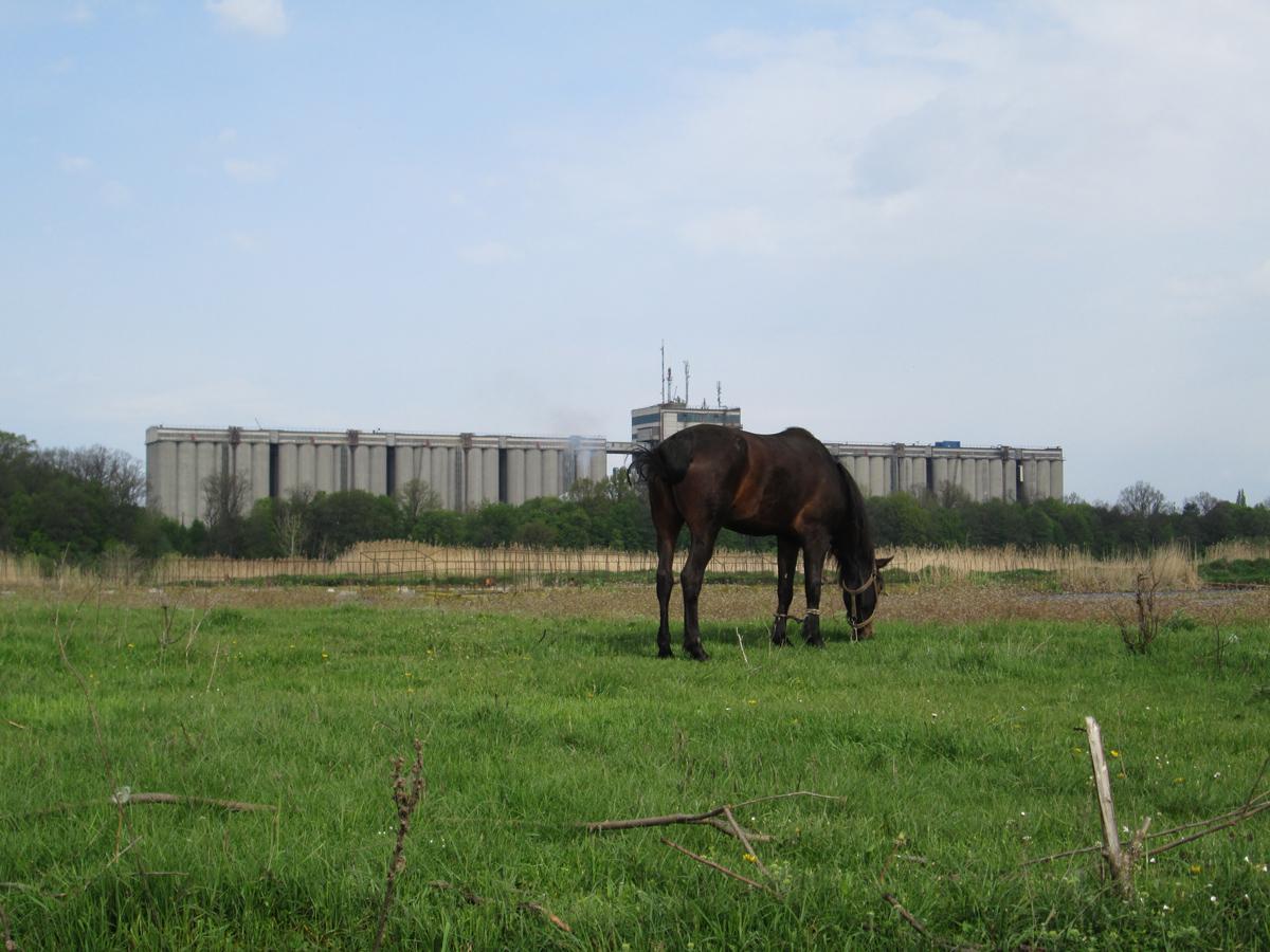 ���� ���������� ������