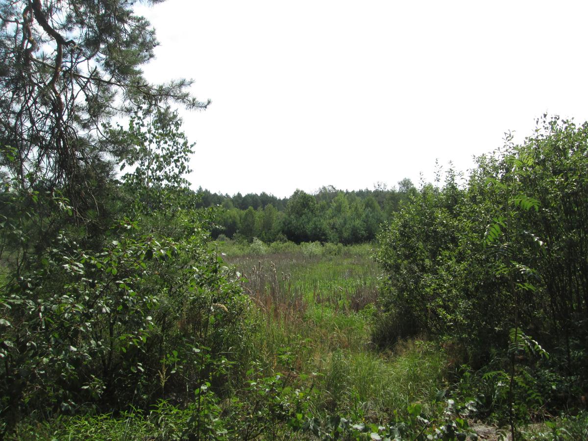 16 ����� 2016�. ����� ��� ����...