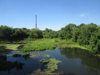 ������ ��� ����. ������ 2016�.