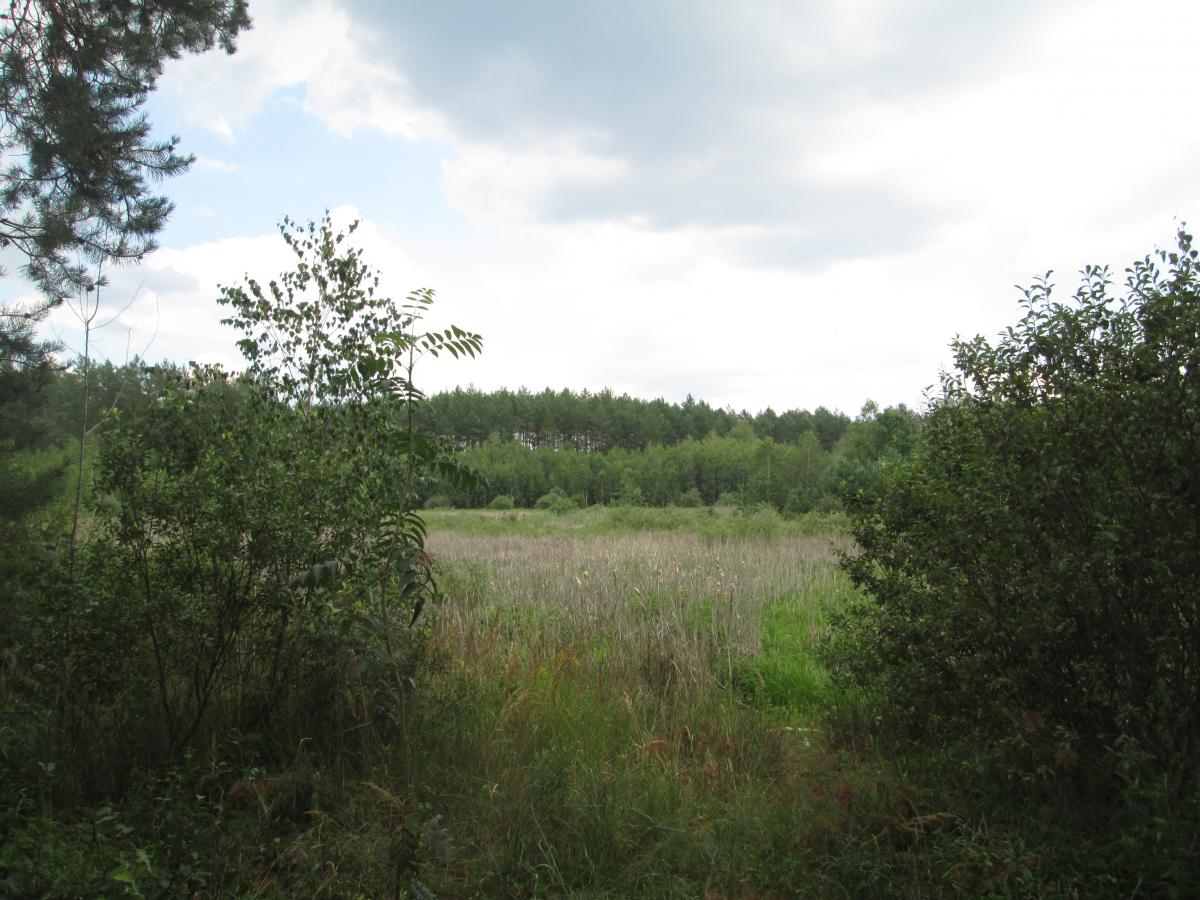 30 ����� 2016�.