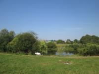 ������ ��� �������. 21 ������ 2016�.