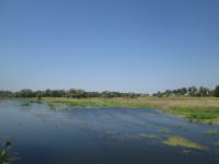 ������ ��� �����'�. 21 ������ 2016�.