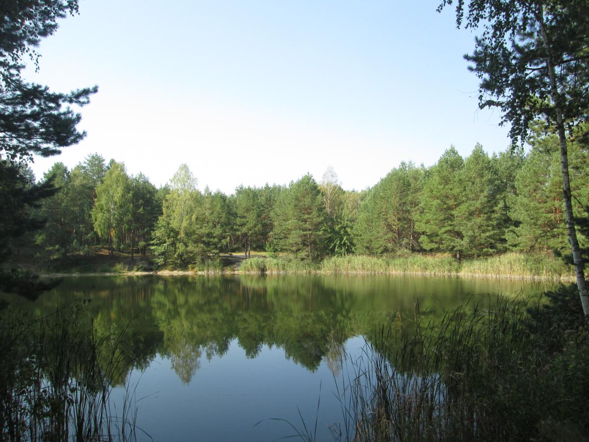 21 ������ 2016�.