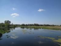 ������ ��� �����'�. 11 ������� 2016�.