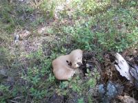 11 ������� 2016�. ˳�� �������� - ���� ������...