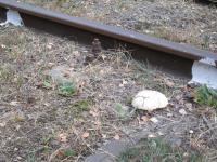 18 ������� 2016�. ����� �� ������-2.