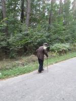 ����������. 18 ������� 2016�.