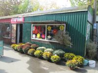 ����. 1 ������ 2016�.