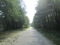 Дорога на Комарівку і Нетішин