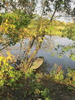 ������ ��� ��������� �������� �������. 2 ������ 2016�.