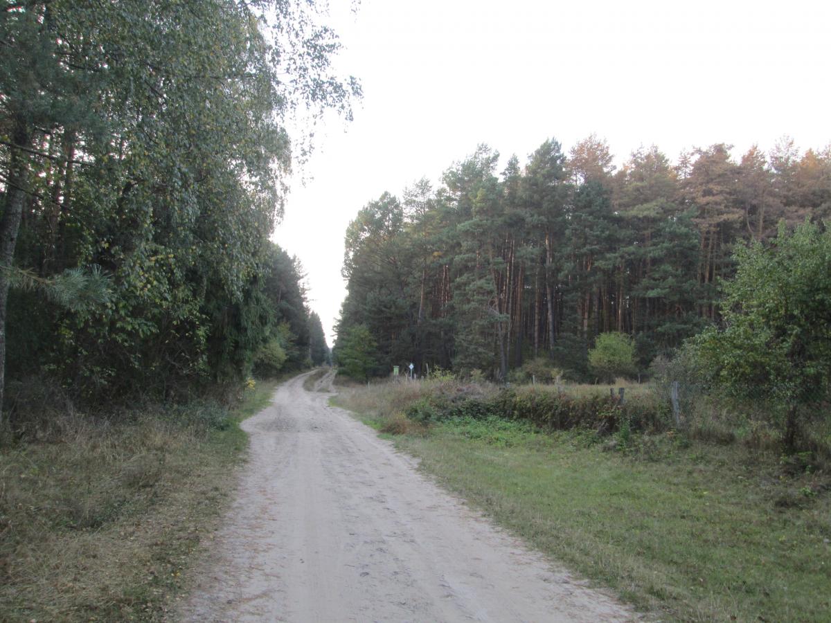 1 ������ 2016�. ������ � ������� �����.