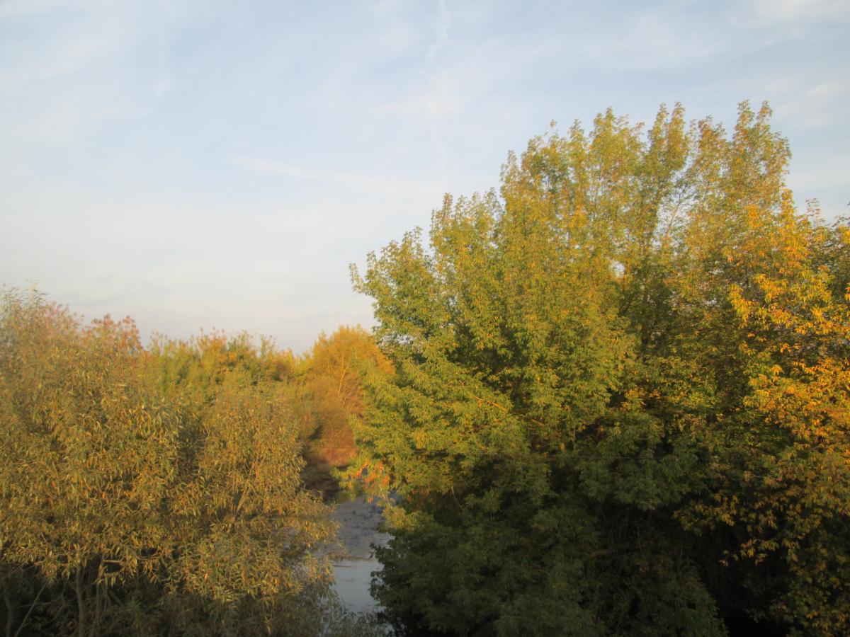 ������ � �������