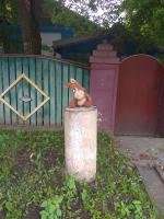 12 ����� 2018�.