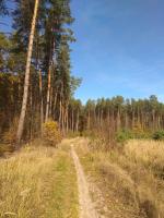 15 ������ 2021�.