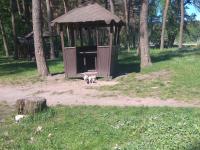 17 ������ 2024�.