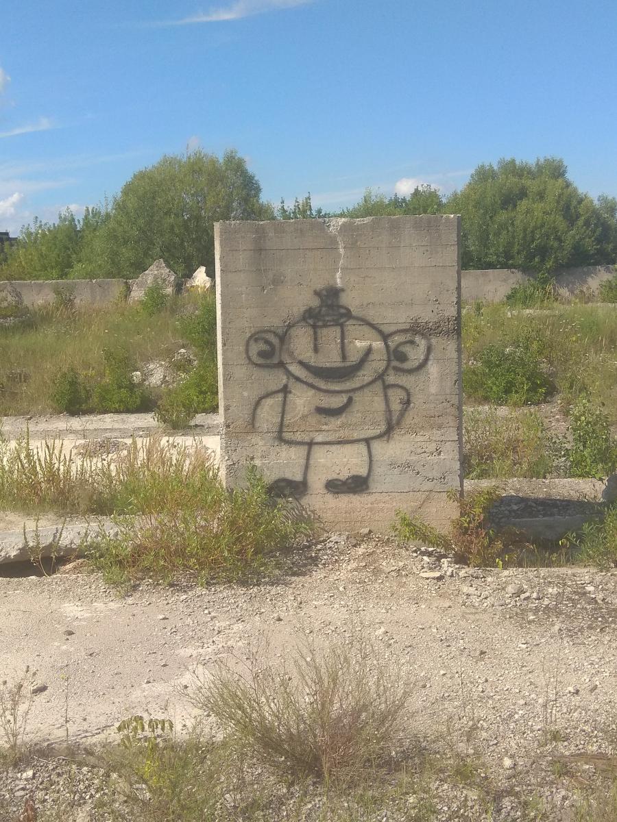 ������ 2024�.