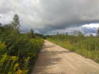 ������ 2024�.