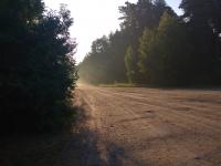 29 ����� 2025�.