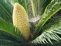 ���� ��������� ��� ������� :)