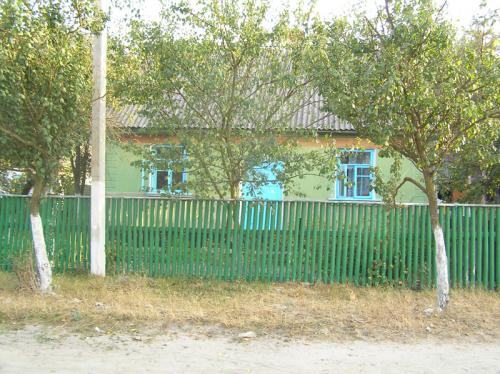 N11