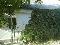 N31