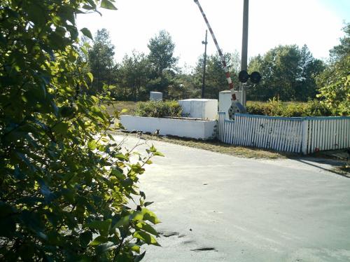 ������ ��� ���������