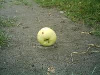 ϳ��������� ������ � ���������