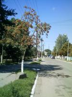 ������ ��� N34