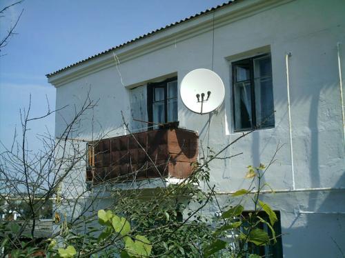 N24 � �����