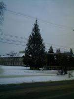 ������-2013